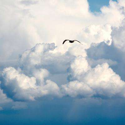 我在地球修仙有系统手游下载